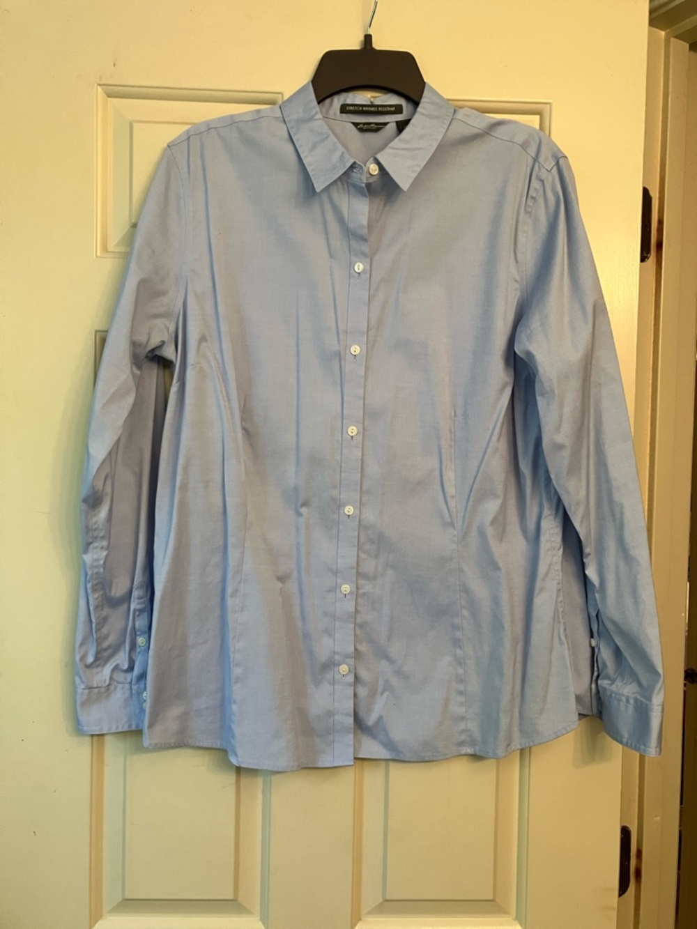 Eddie Bauer EUC Pale Blue Long-Sleeve Button-Up Shirt